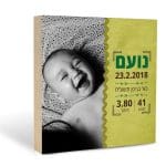 תעודת לידה דגם גרין